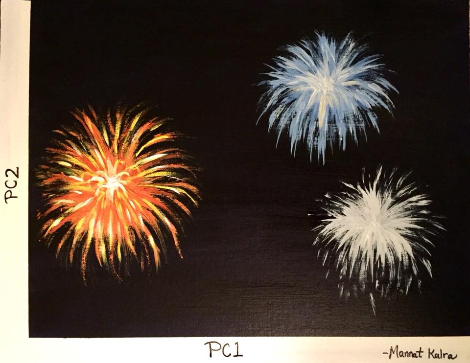 Principal Component Analysis/Fireworks