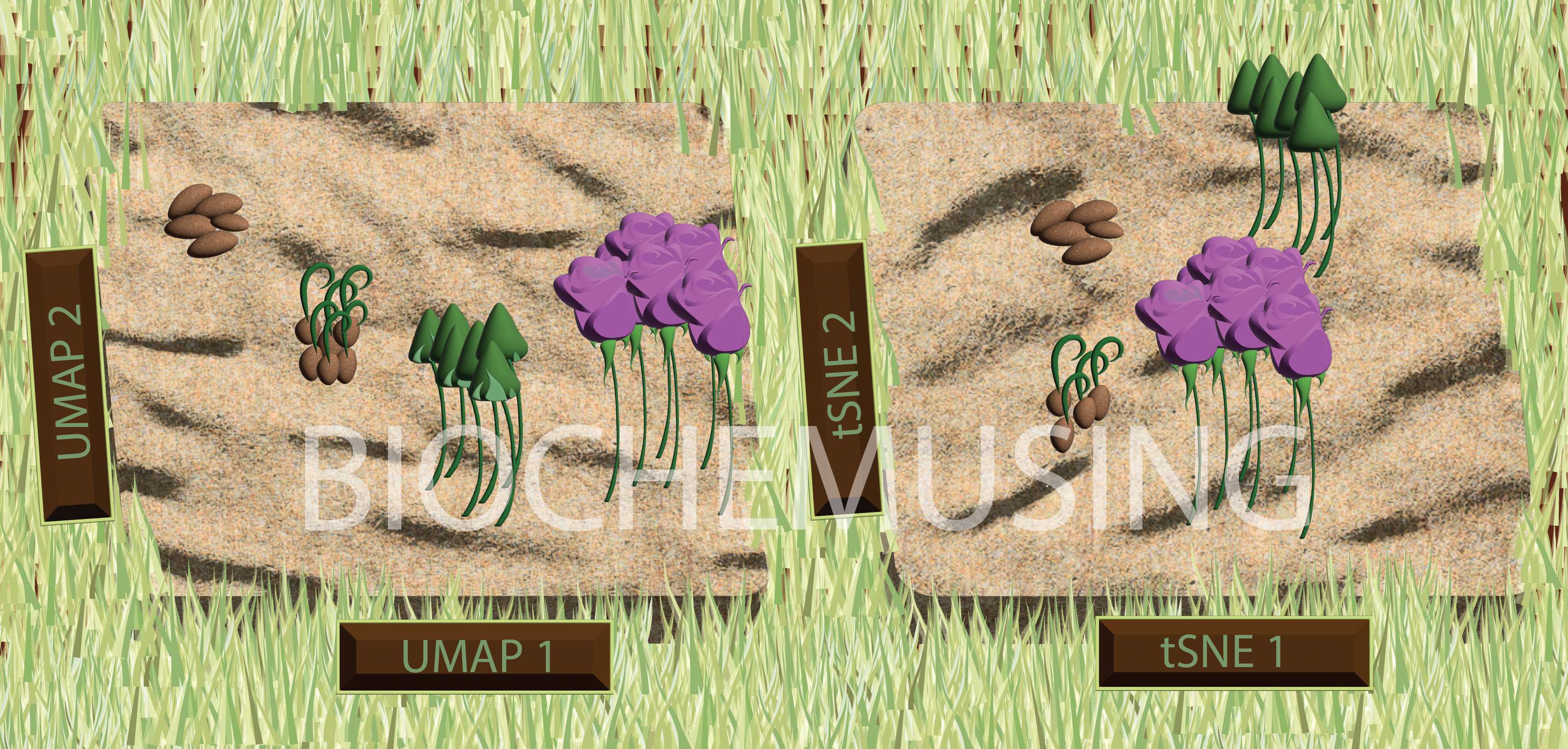 UMAP vs tSNE/Garden Landscaping